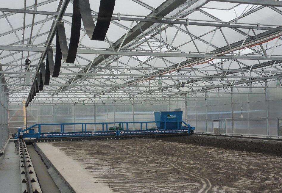 市政污泥干化 市政污泥干化