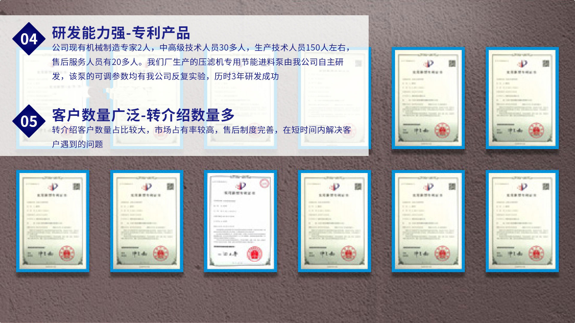 液壓陶瓷柱塞泥漿泵-04