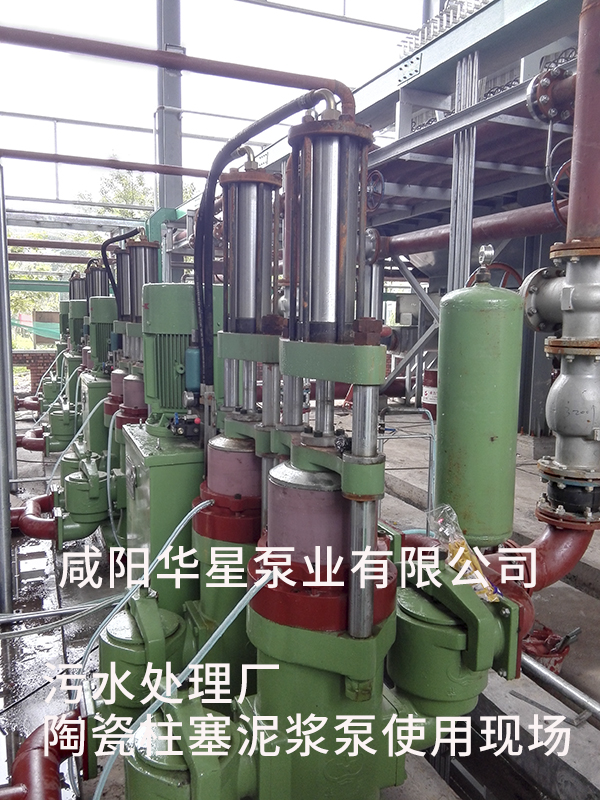 山東淄博光大水務(wù)-市政污水處理-水印5 山東淄博光大水務(wù)-市政污水處理-水印5