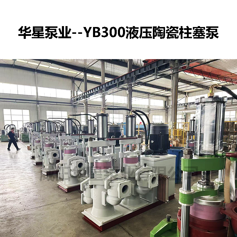 YB300液壓陶瓷柱塞泵-10 YB300液壓陶瓷柱塞泵-10