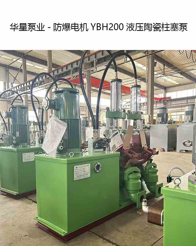華星泵業(yè)-防爆電機(jī)YBH200液壓陶瓷柱塞泵-產(chǎn)品圖片 華星泵業(yè)-防爆電機(jī)YBH200液壓陶瓷柱塞泵-產(chǎn)品圖片