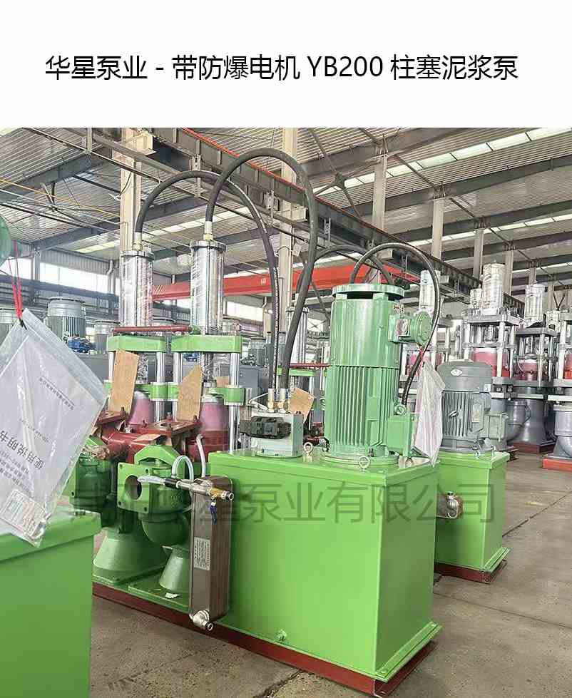 帶防爆電機(jī)YB200柱塞泥漿泵-華星泵業(yè)-產(chǎn)品圖片 帶防爆電機(jī)YB200柱塞泥漿泵-華星泵業(yè)-產(chǎn)品圖片
